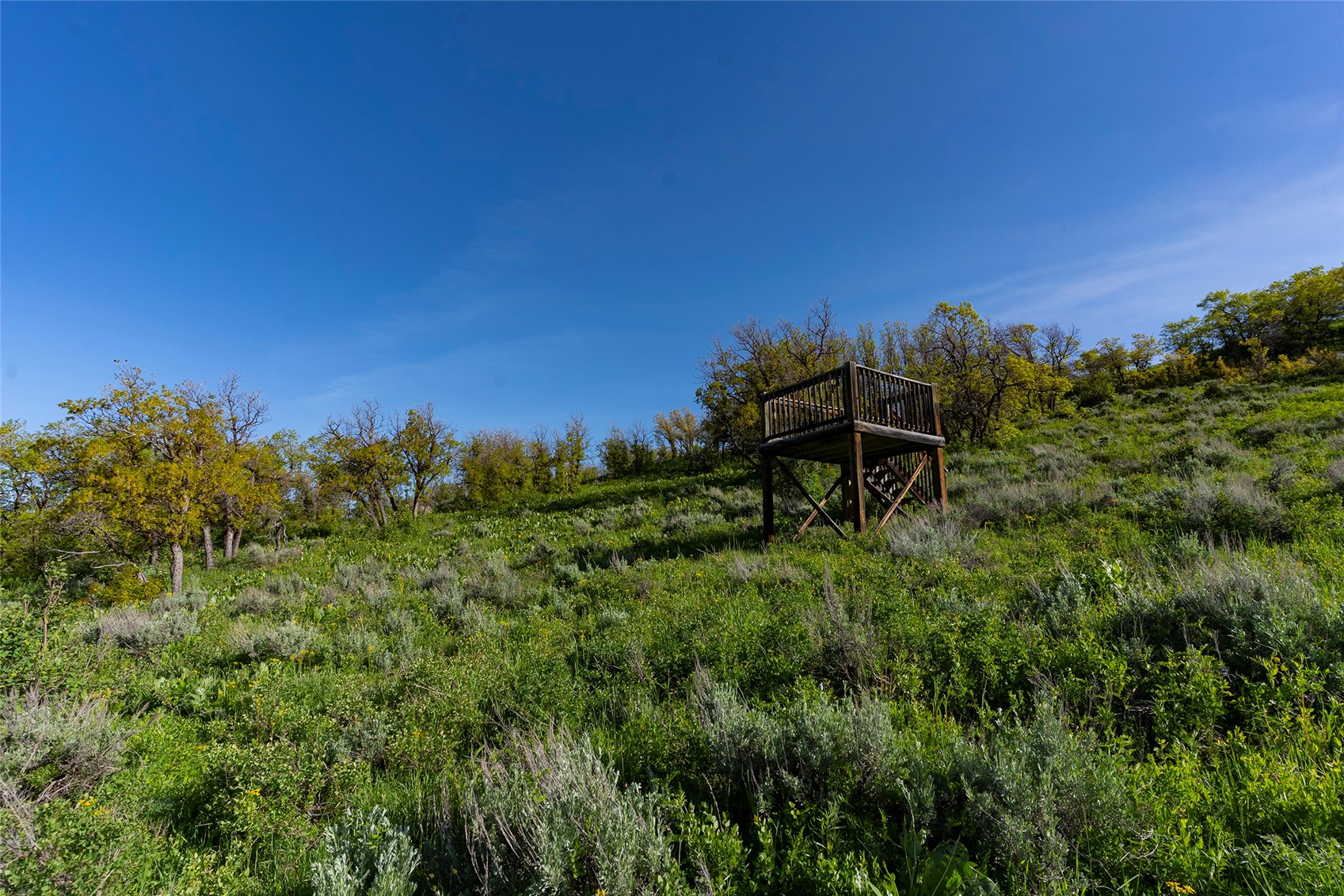 33905 Catamount Drive Property Photo 8
