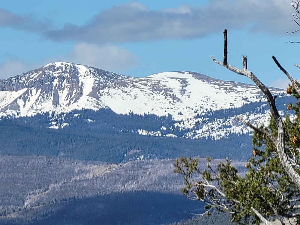 1411 Middle Fork Property Photo 1