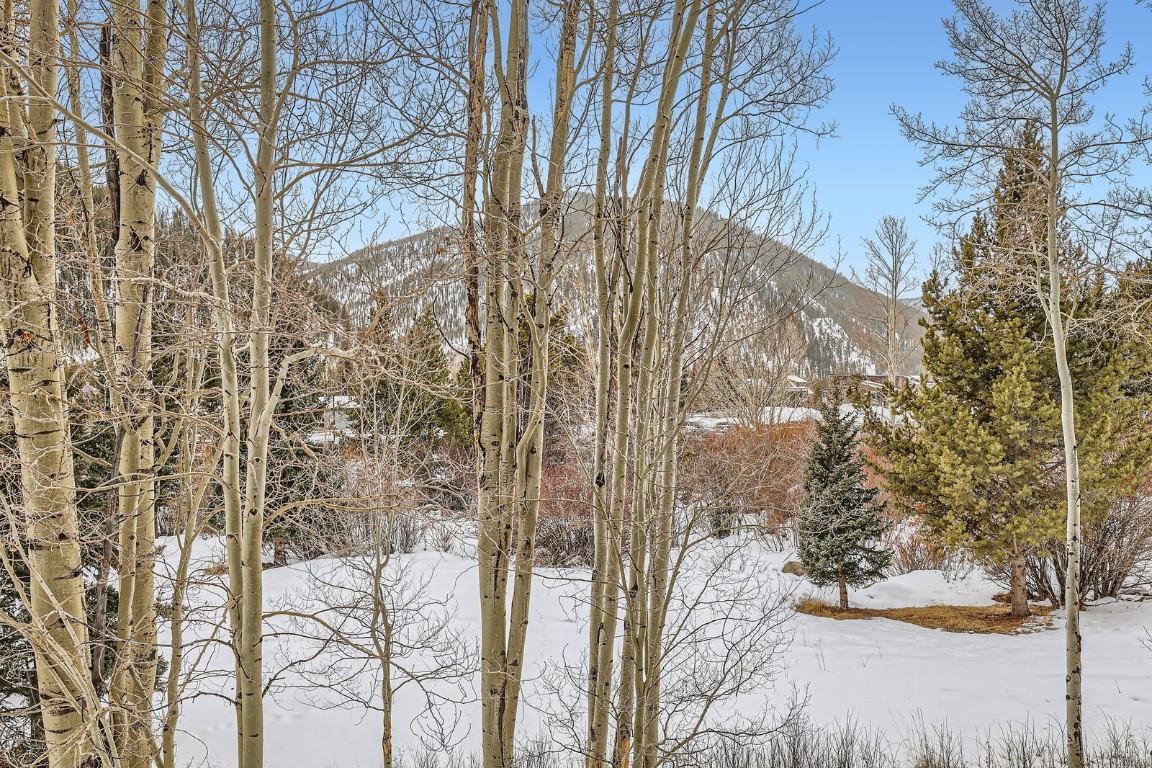 620 Tennis Club Road 1339 Property Photo 45