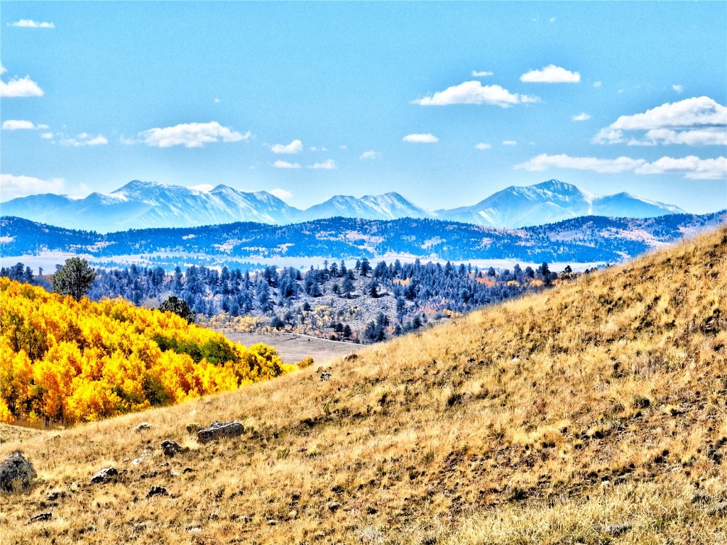 3431 Dog Chief Trail Property Photo