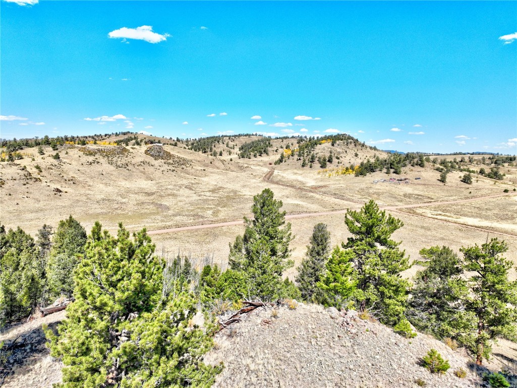 3431 Dog Chief Trail Property Photo 2