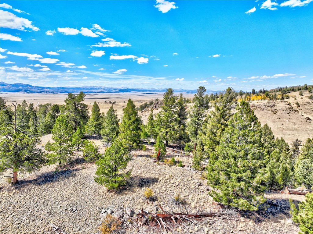 3431 Dog Chief Trail Property Photo 3
