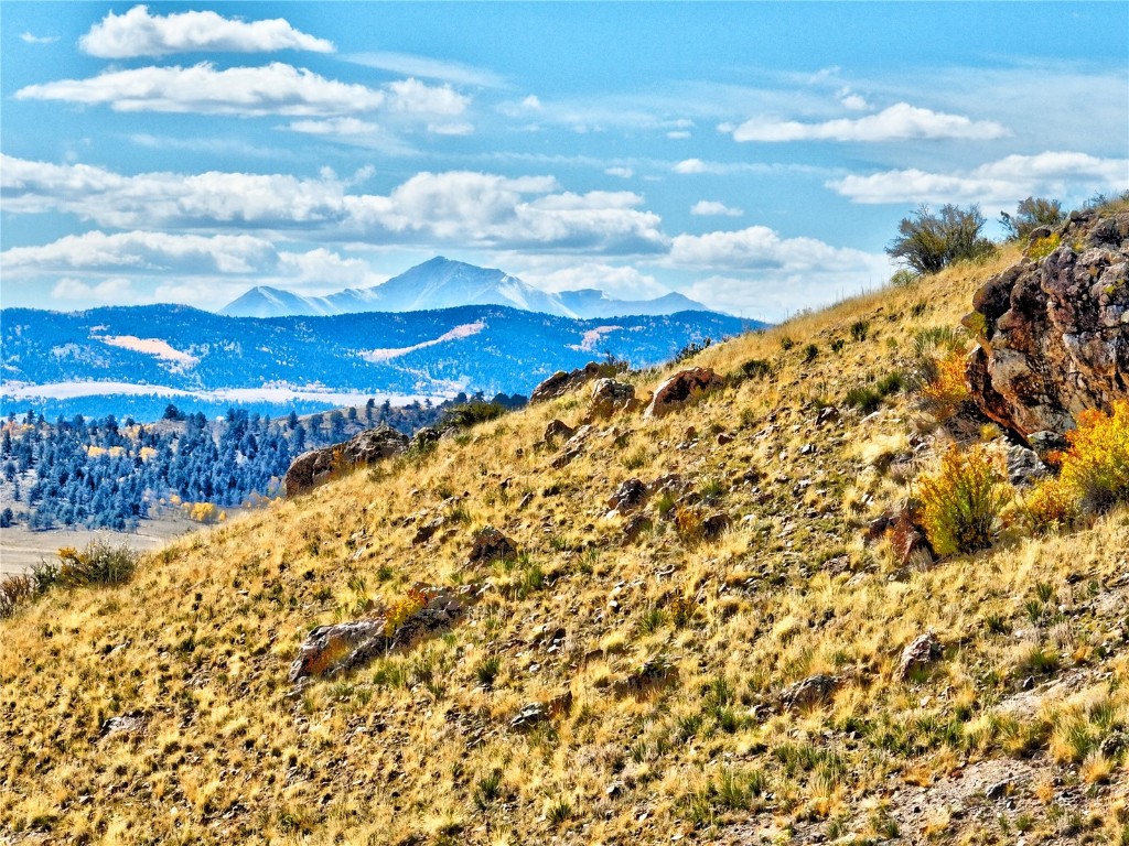 3431 Dog Chief Trail Property Photo 4