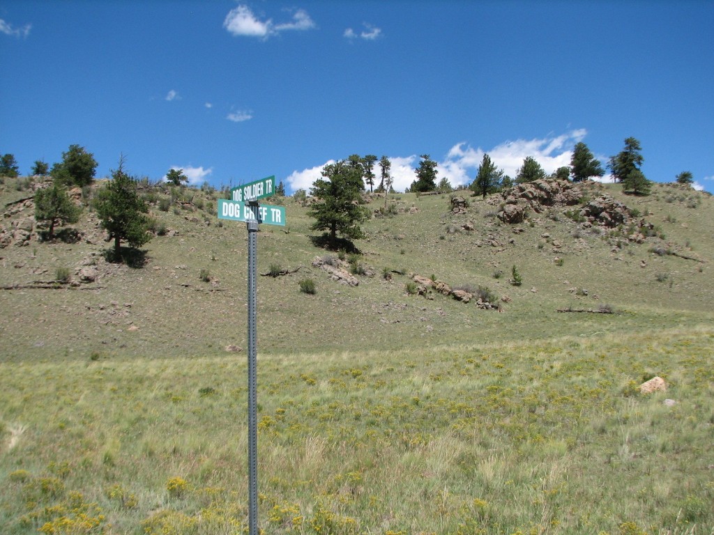 3431 Dog Chief Trail Property Photo 6