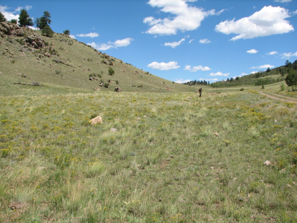 3431 Dog Chief Trail Property Photo 7