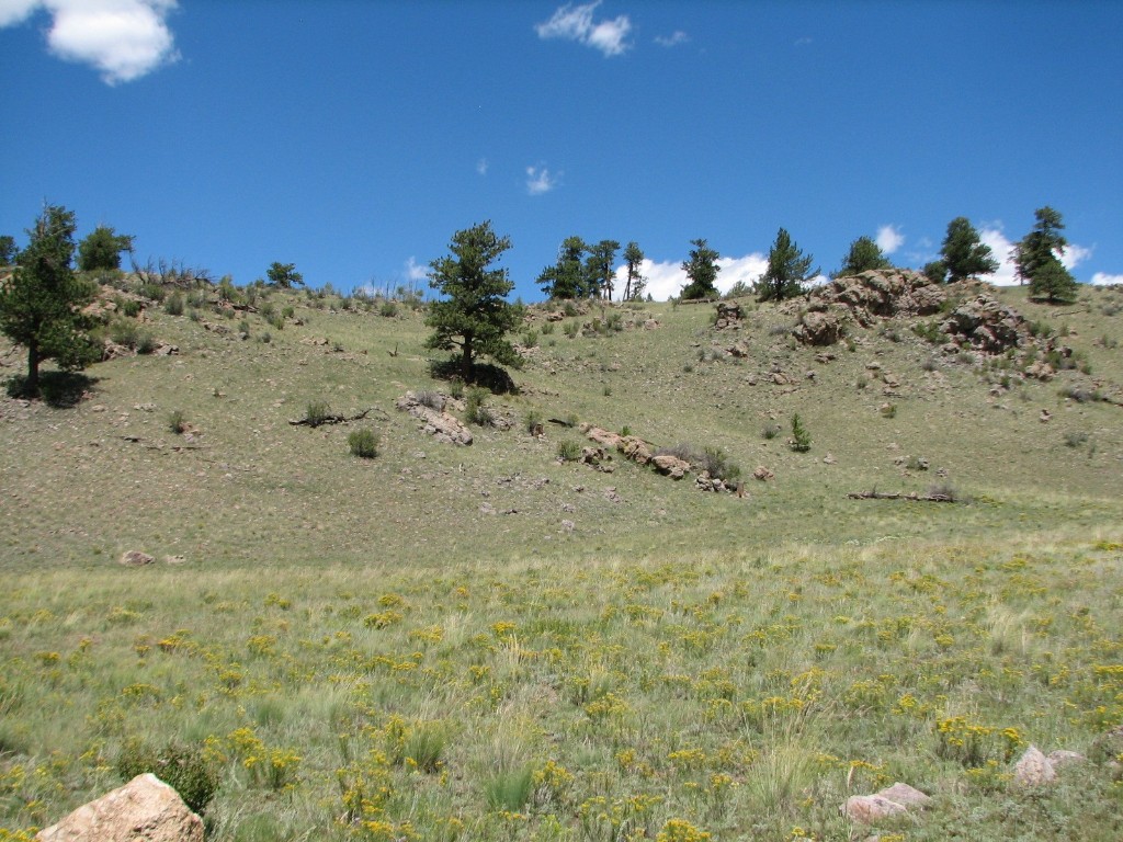 3431 Dog Chief Trail Property Photo 8