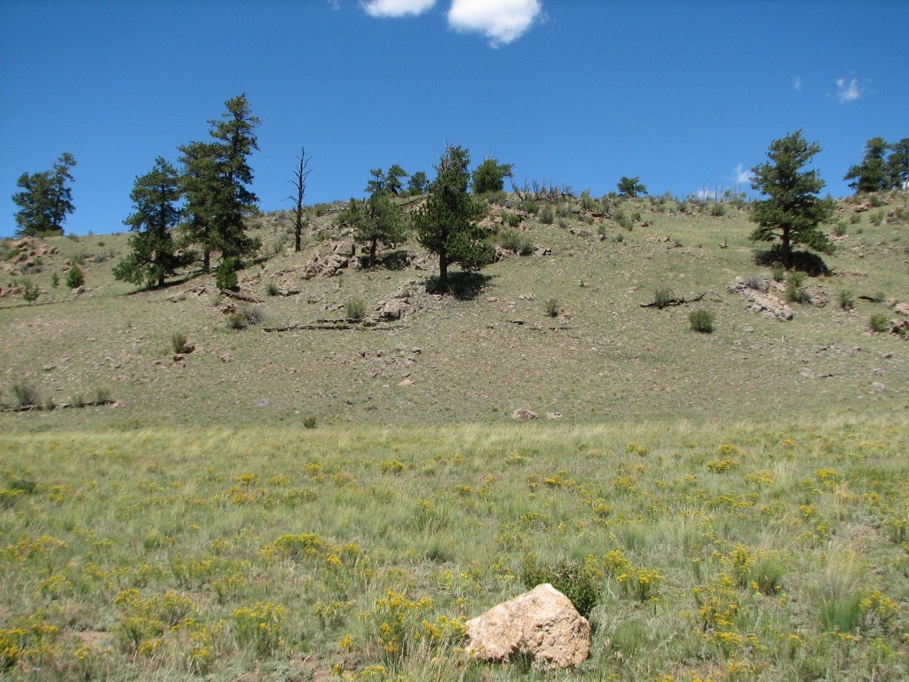 3431 Dog Chief Trail Property Photo 9