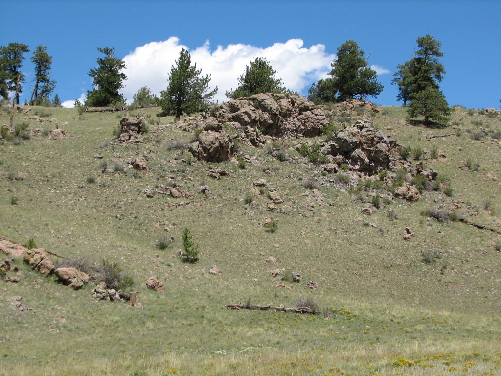 3431 Dog Chief Trail Property Photo 10
