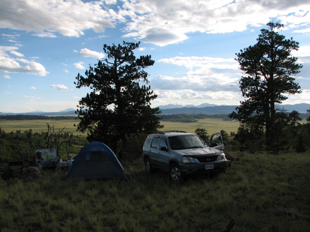 3431 Dog Chief Trail Property Photo 11