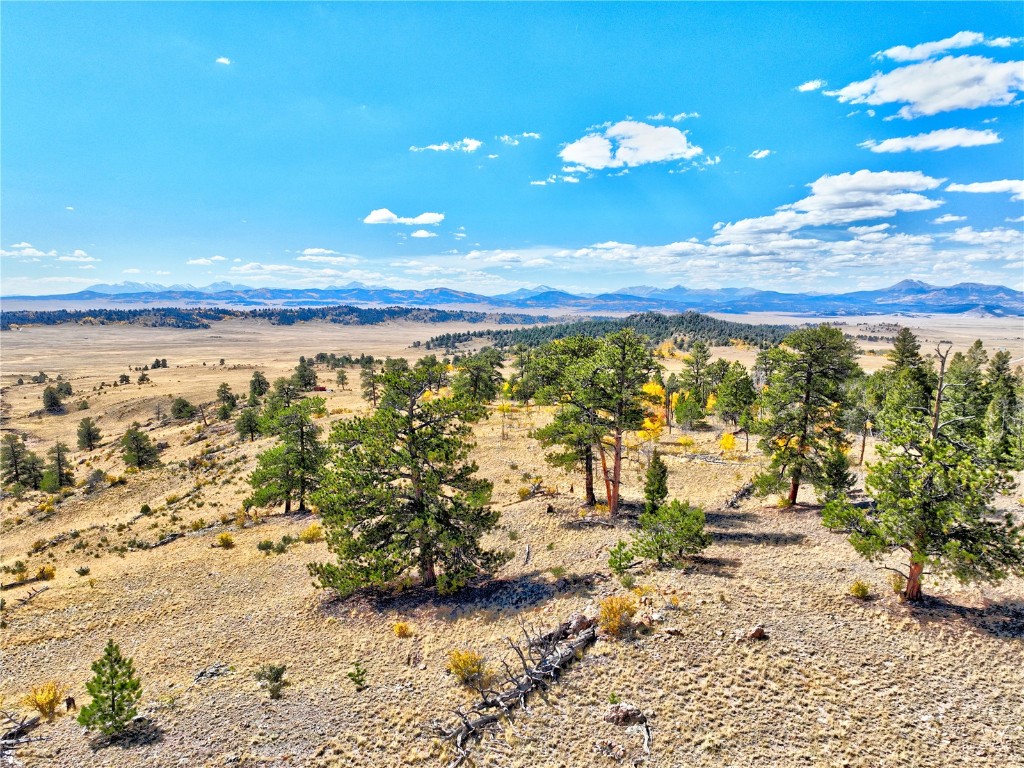 3433 Dog Chief Trail Property Photo