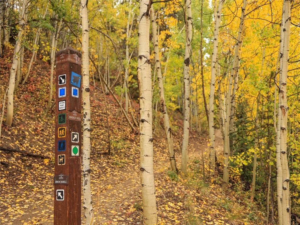 206 Woods Drive 6 Property Photo 16