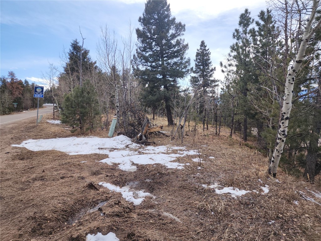 Conifer Real Estate Listings Main Image