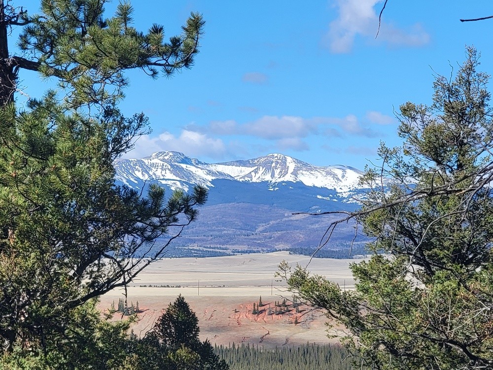 1333 Middle Fork Property Photo 3