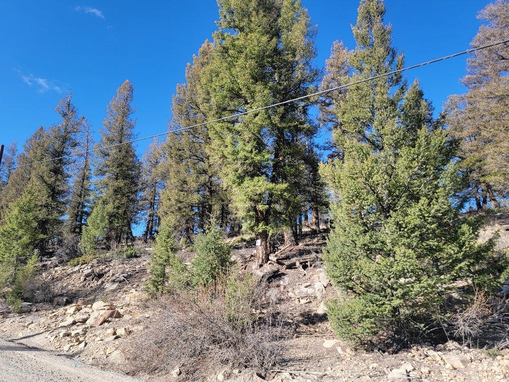 1333 Middle Fork Property Photo 4