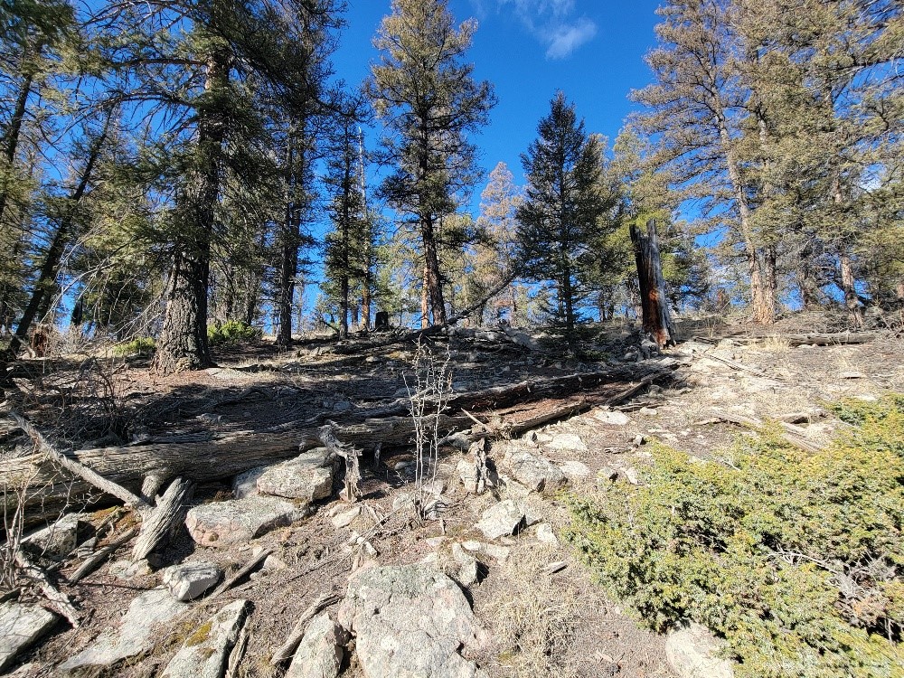 1333 Middle Fork Property Photo 6