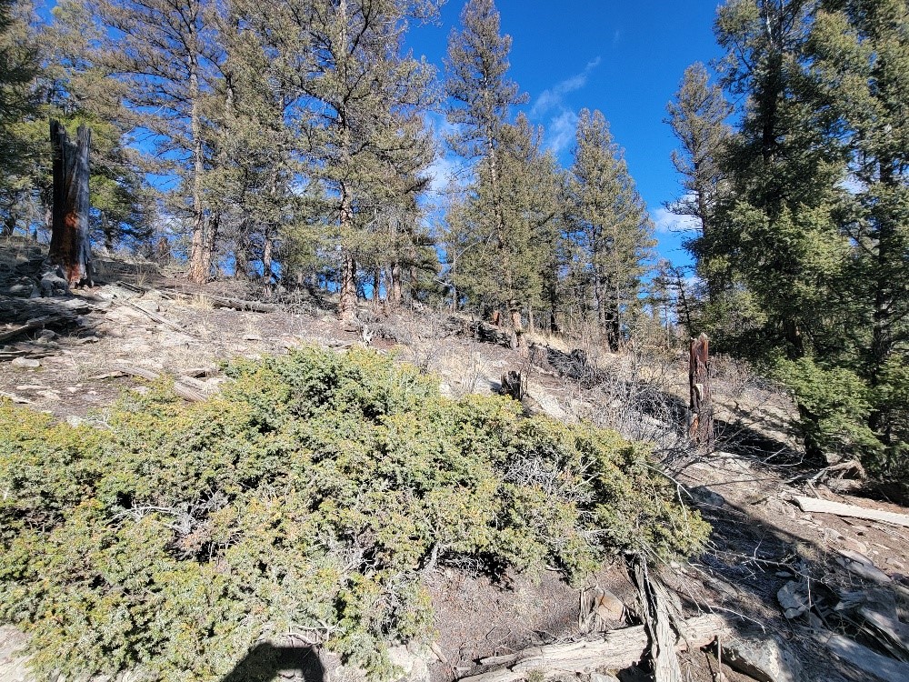 1333 Middle Fork Property Photo 7