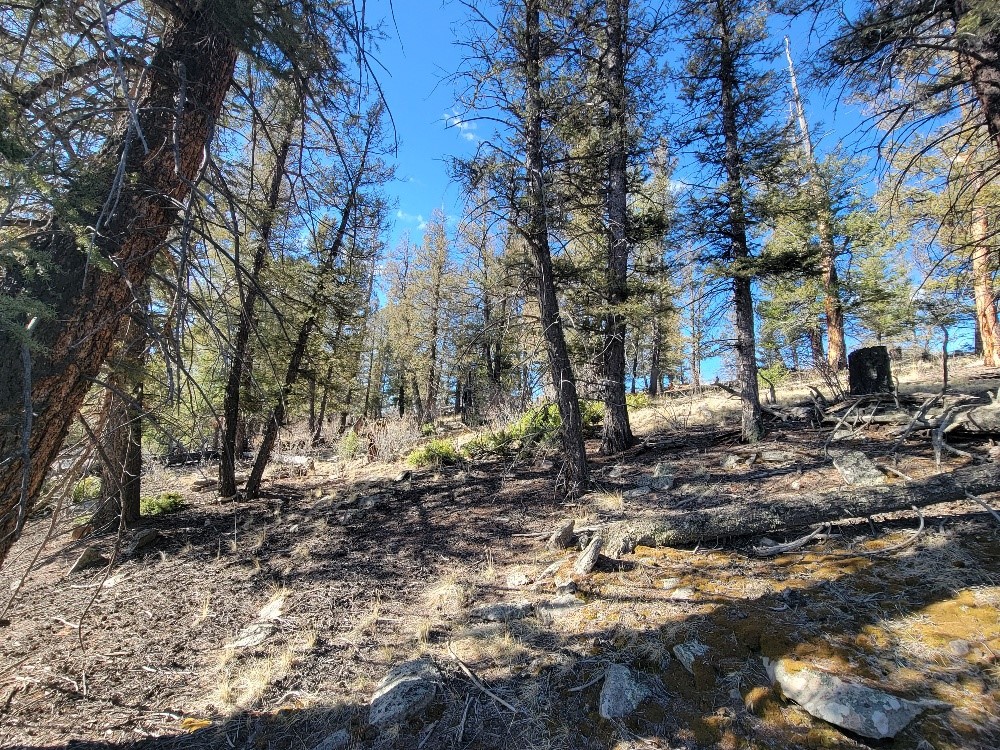 1333 Middle Fork Property Photo 8