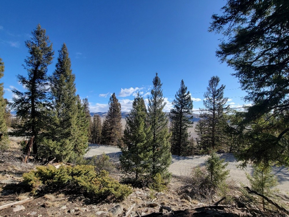 1333 Middle Fork Property Photo 9