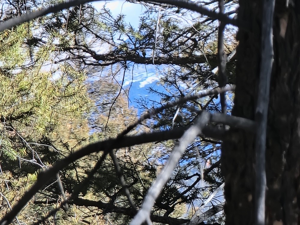 1333 Middle Fork Property Photo 13