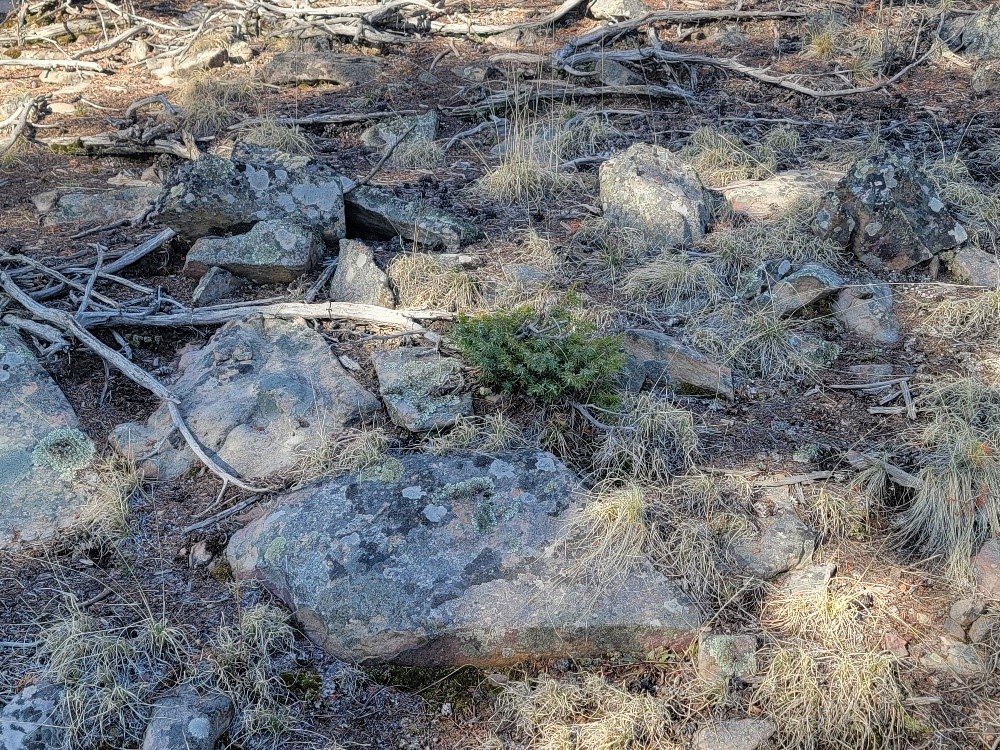 1333 Middle Fork Property Photo 14