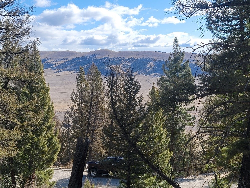 1333 Middle Fork Property Photo 15