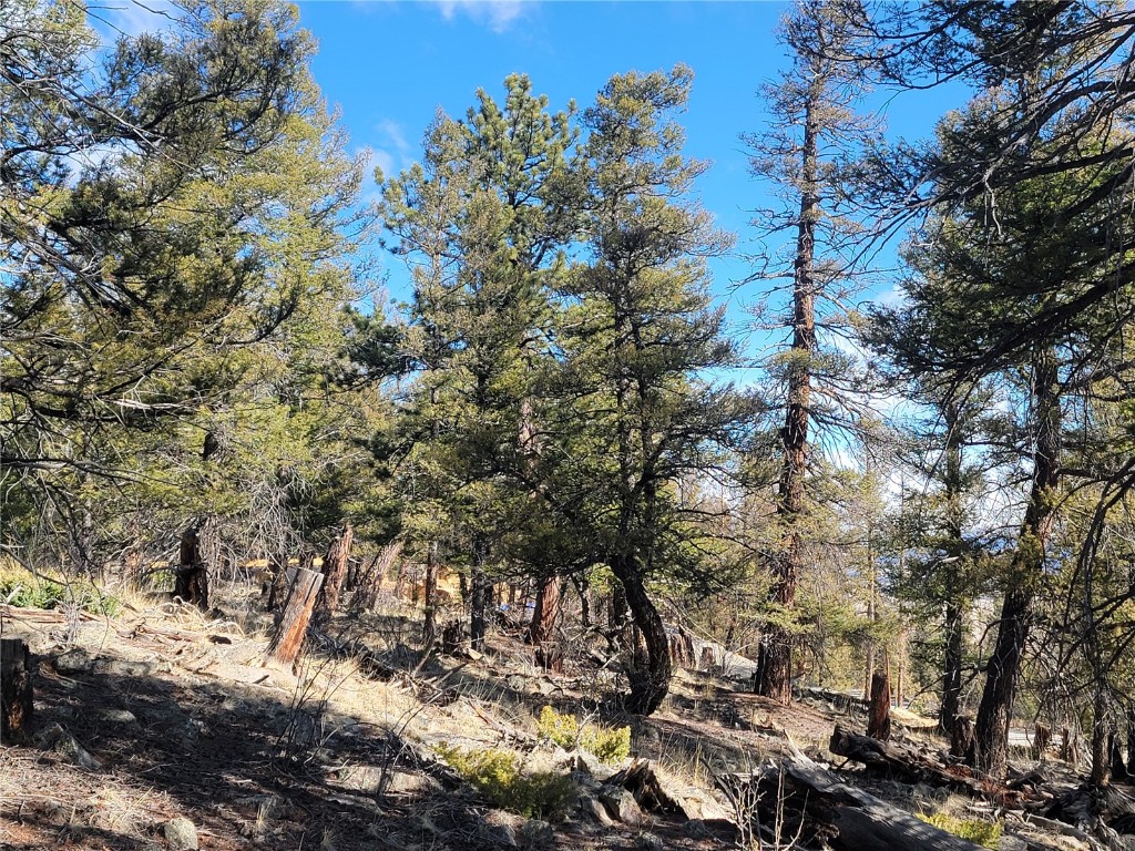 1333 Middle Fork Property Photo 18
