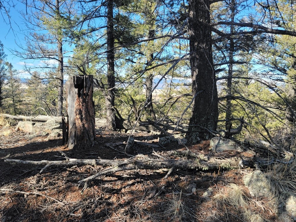 1333 Middle Fork Property Photo 20