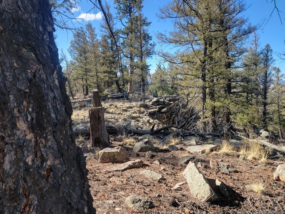 1333 Middle Fork Property Photo 21