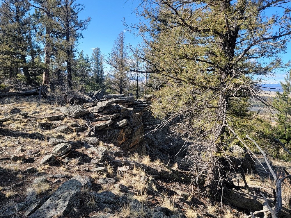 1333 Middle Fork Property Photo 22