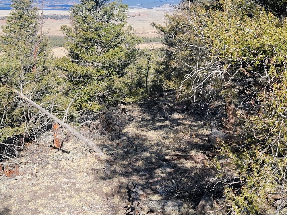 1333 Middle Fork Property Photo 29