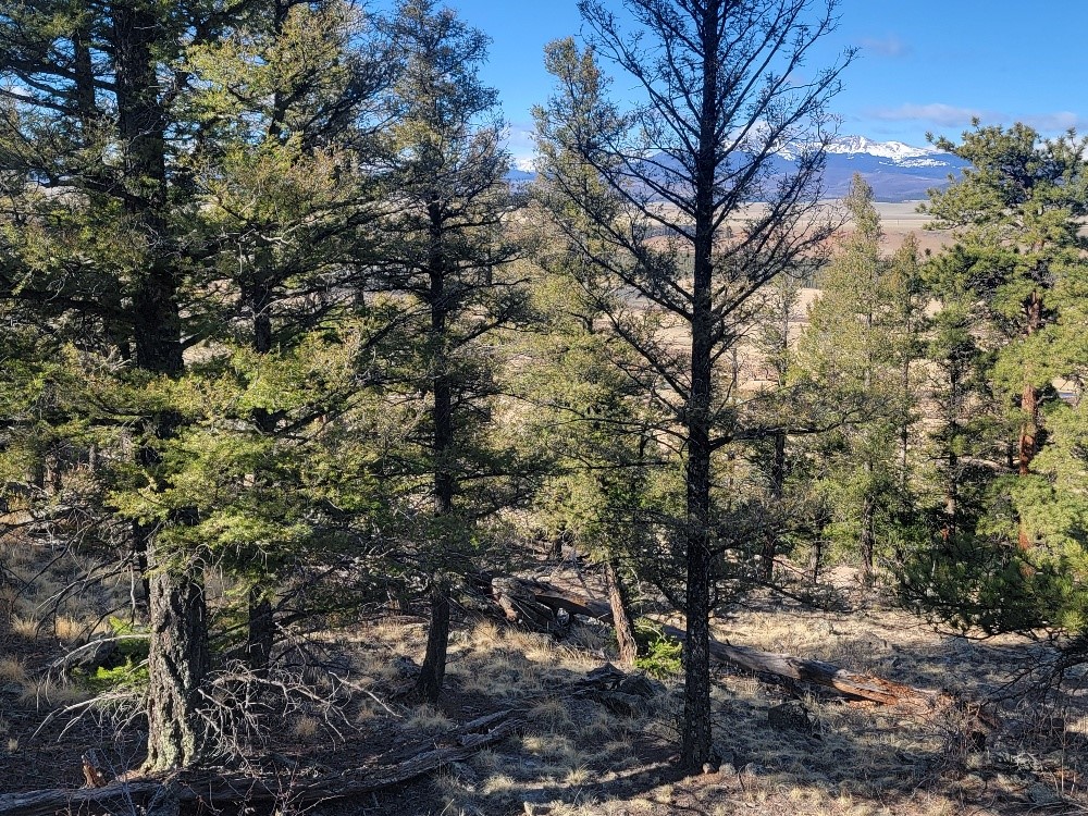 1333 Middle Fork Property Photo 30
