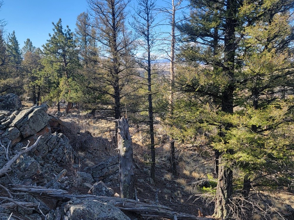 1333 Middle Fork Property Photo 31