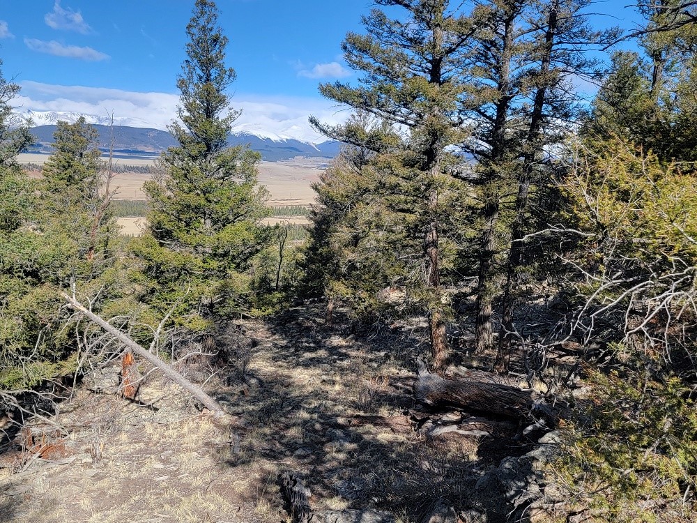 1333 Middle Fork Property Photo 32