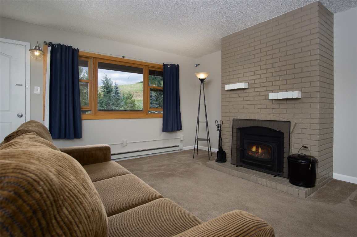 2320 Ski Trail Lane 206 Property Photo 4