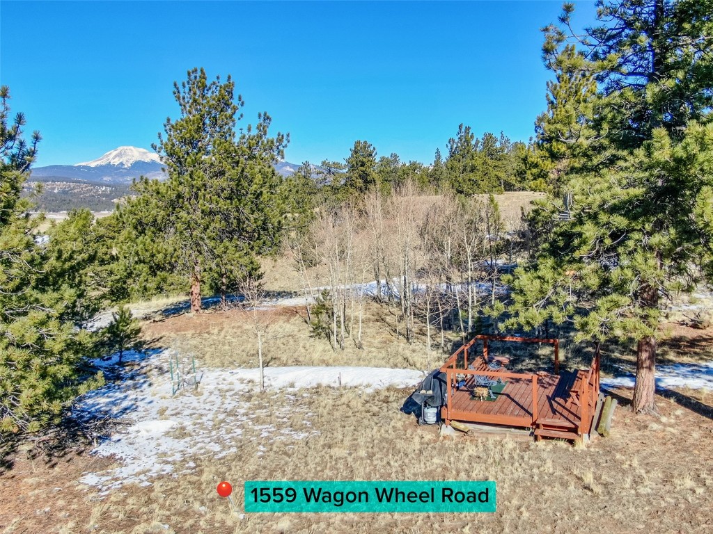 1559 Wagon Wheel Road Property Photo