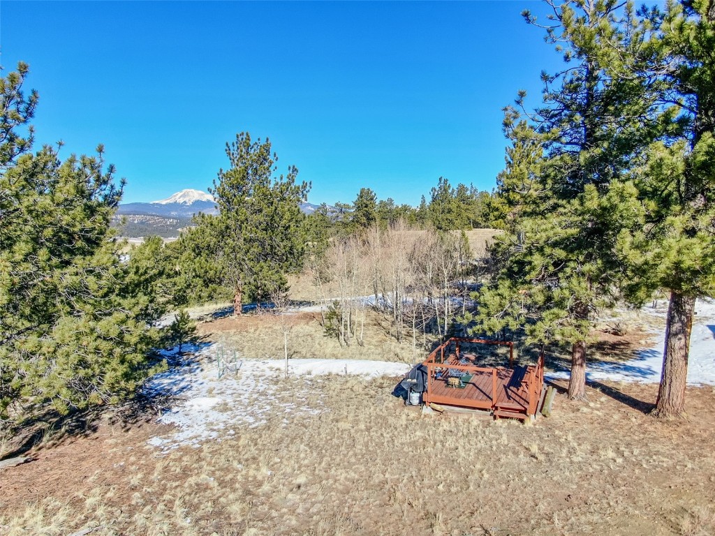 1559 Wagon Wheel Road Property Photo 10