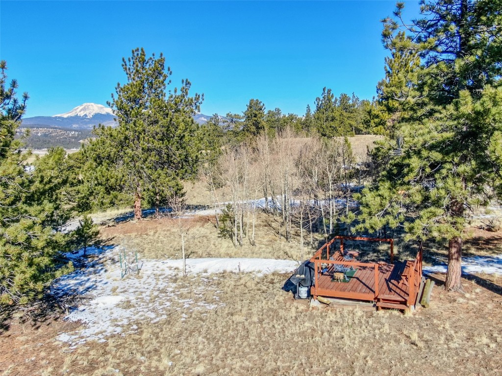 1559 Wagon Wheel Road Property Photo 11