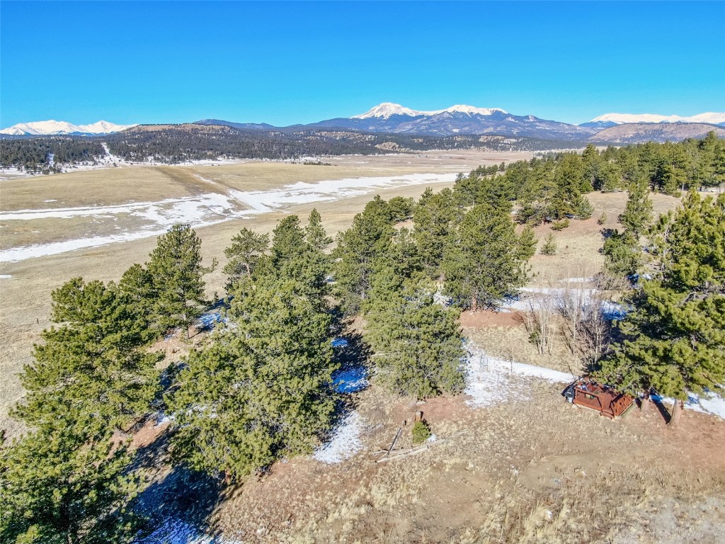1559 Wagon Wheel Road Property Photo 13