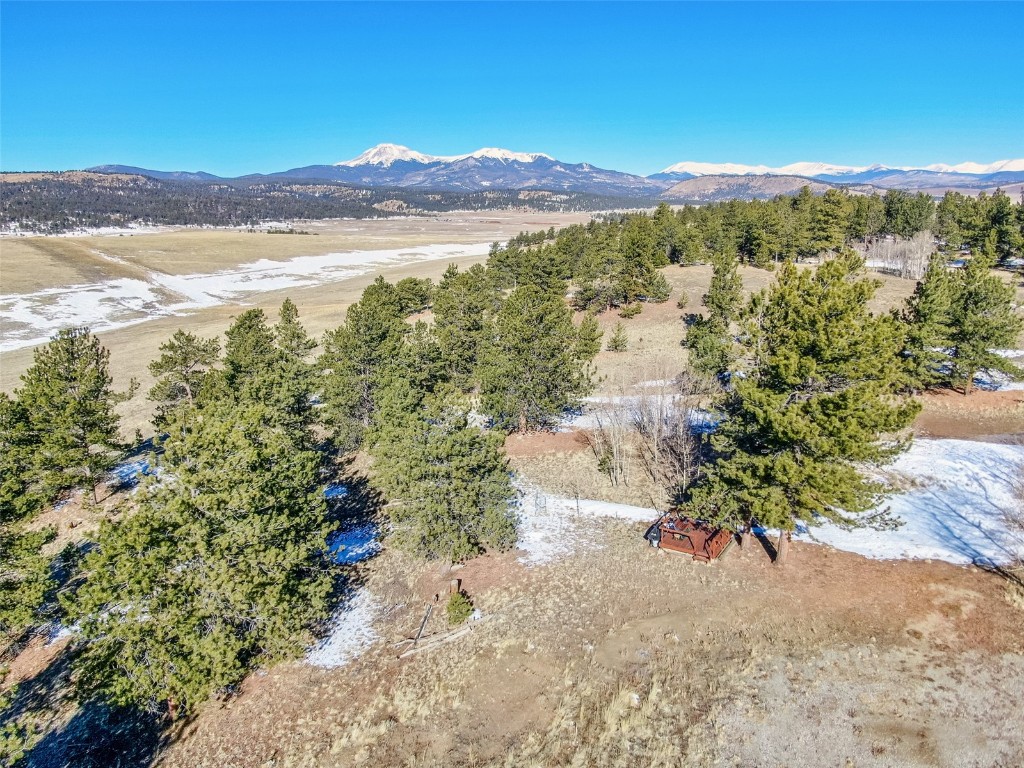 1559 Wagon Wheel Road Property Photo 14