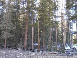 452 Bobcat Lane Property Photo 4
