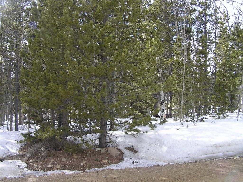 452 Bobcat Lane Property Photo 10