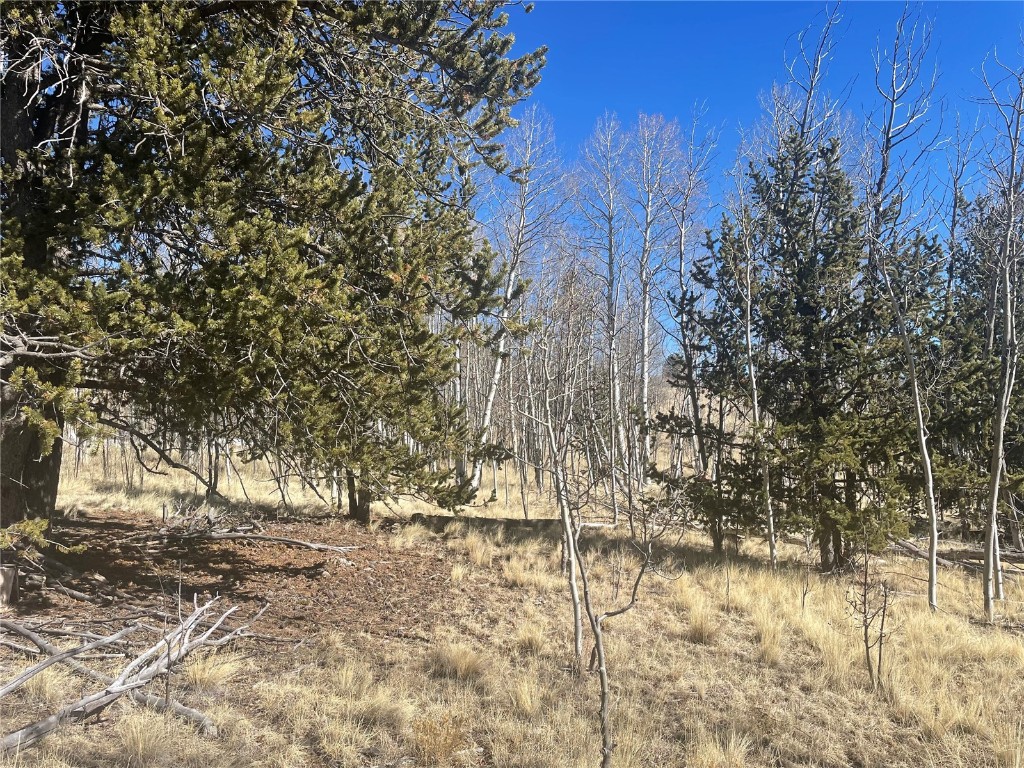 90 Pahaska Way Property Photo
