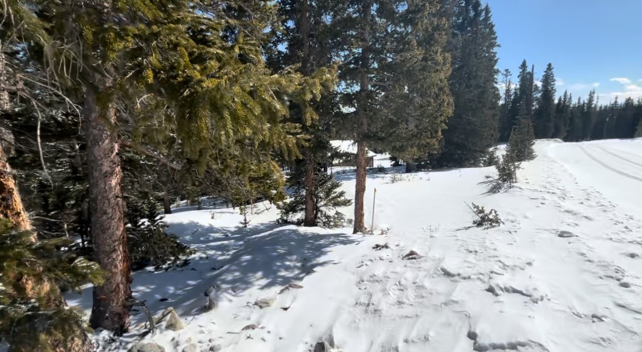 272 Grizzly Drive Property Photo