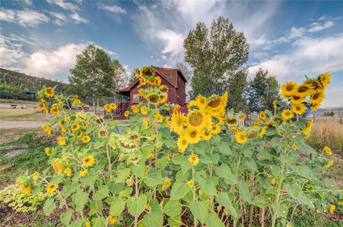 Saddle Mt Ranchettes Subd Real Estate Listings Main Image