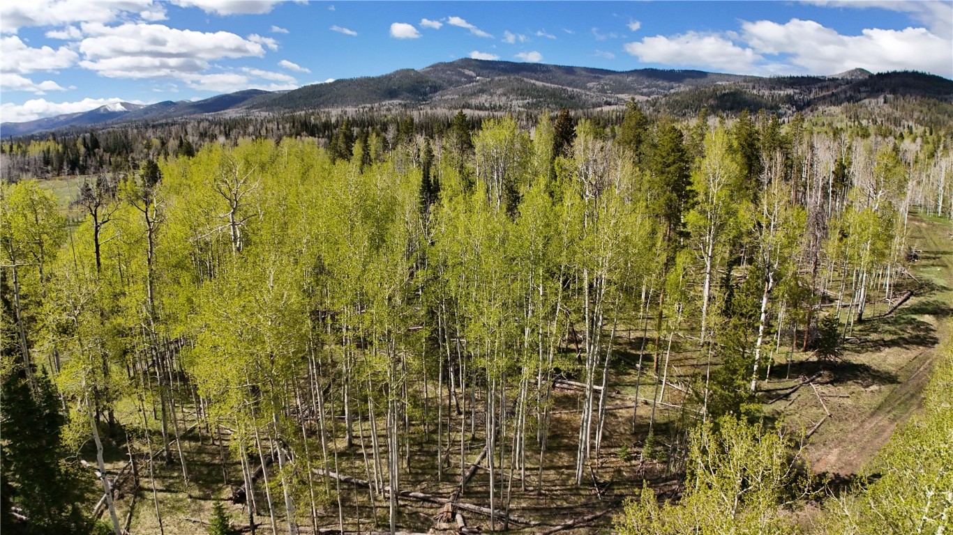 Lot 98 South Station I Property Photo 1