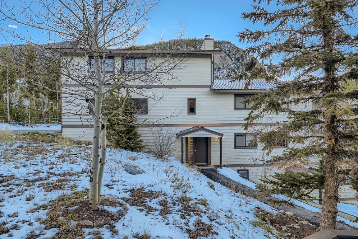 216 Pitkin Street 6 Property Photo