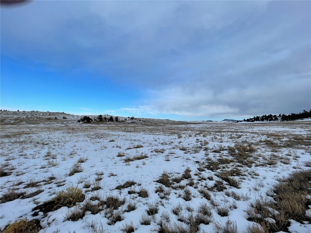 Tbd Cr 53 Property Photo 3