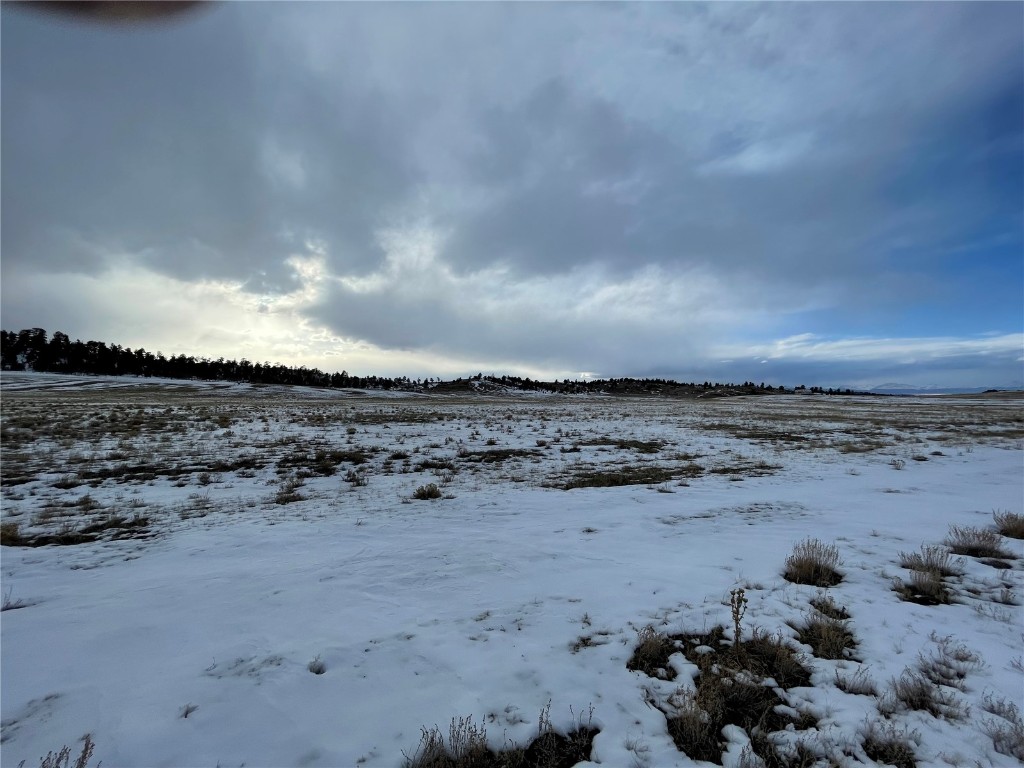 Tbd Cr 53 Property Photo 4