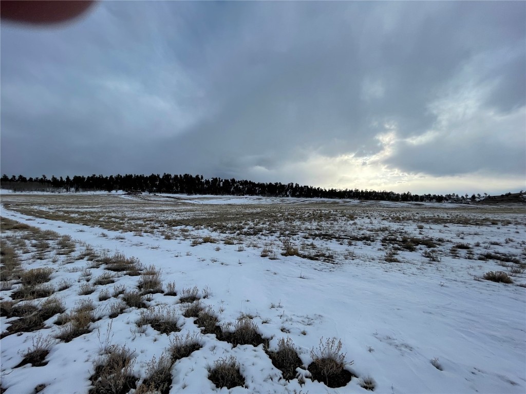 Tbd Cr 53 Property Photo 5