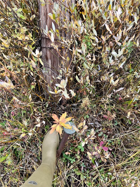 Tbd Cr 129 Property Photo 5